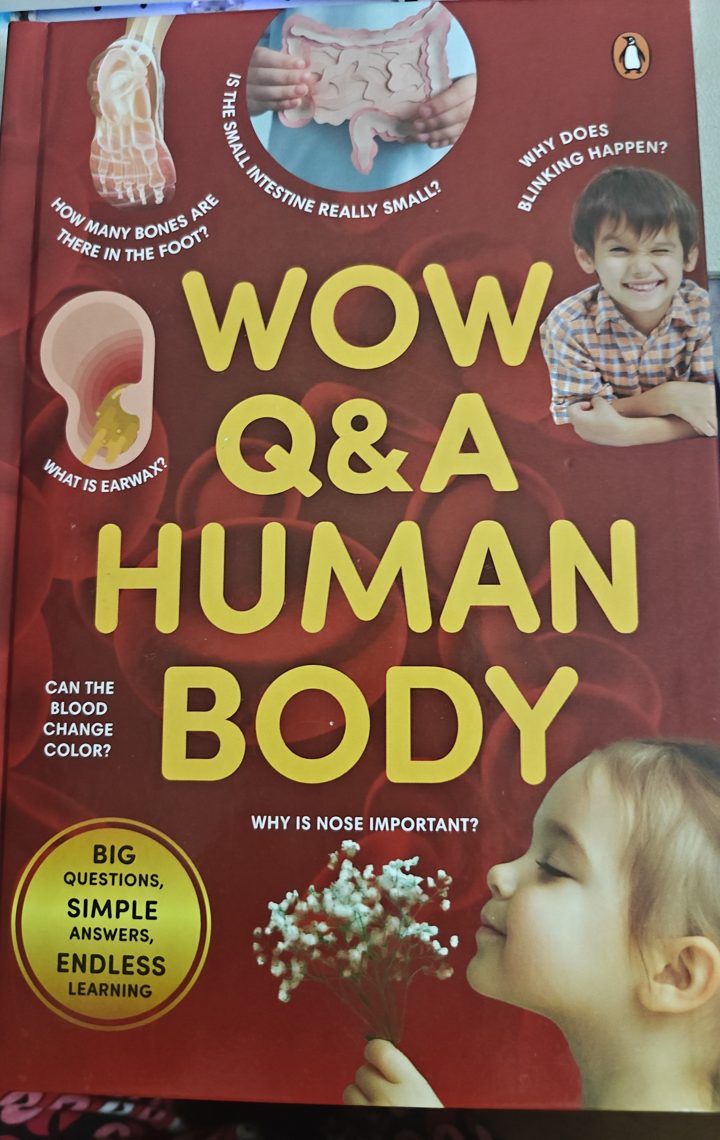 Cover of WOW Q&A: Human Body